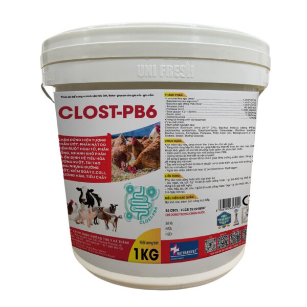 CLOST-PB6 new